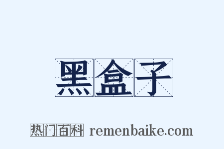 黑盒子是什么意思的图片